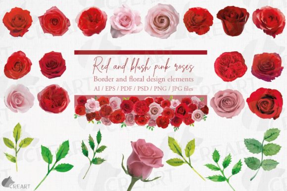 Blush Pink and Red Watercolour Roses Art
