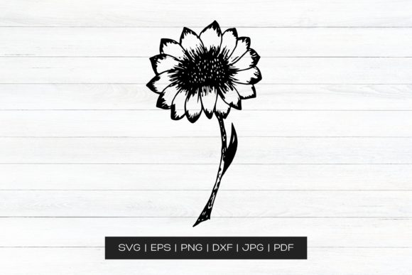 Hand Drawn Sunflower Vector Art
