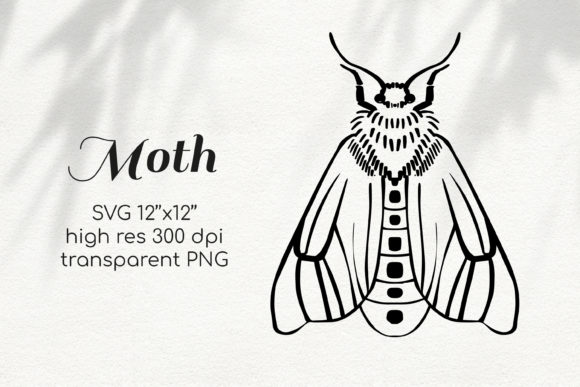 Moth Line Art Clipart: A Designer’s Real-World Embroidery Review